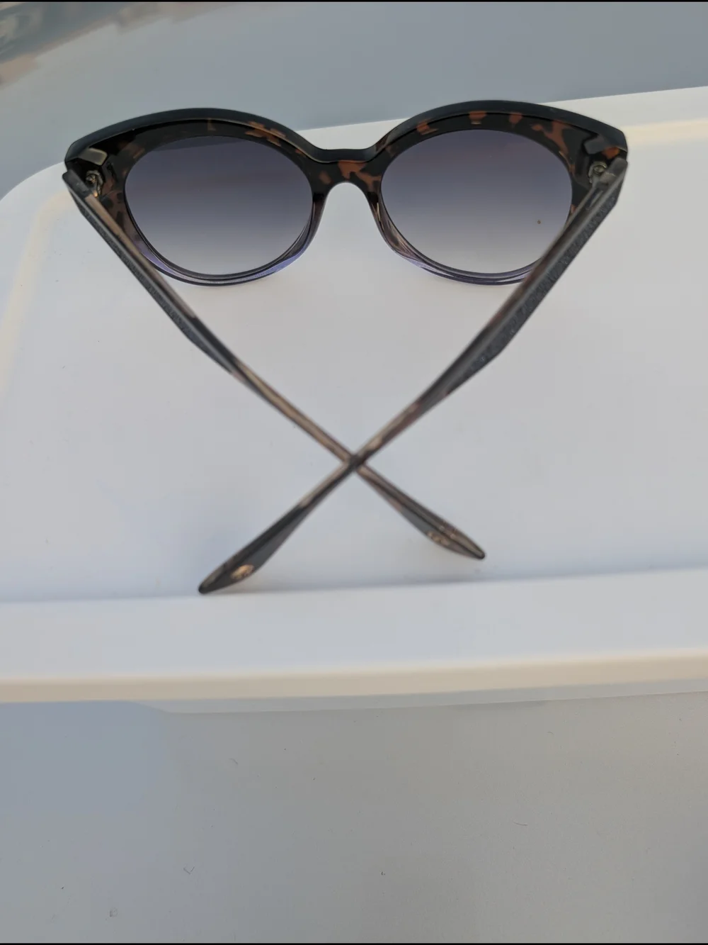 Jessica Simpson stylish cat